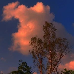 Meet your Posher, Ally